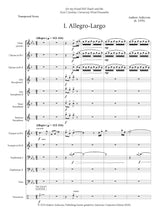 Ardizzoia: Divertimento, Op. 66