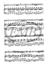 Vivaldi: Recorder (Flute) Concerto in C Minor, RV 441