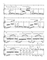 Stubblefield: Reluctant Protagonist, Op. 11