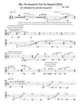 Carl: MA: No-Sound Is Not No Sound