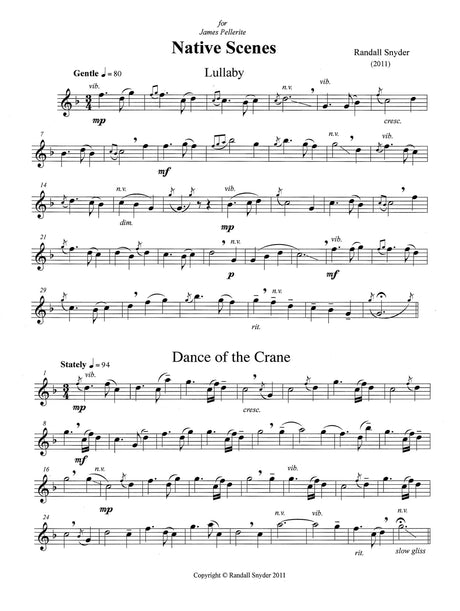 Snyder: Native Scenes