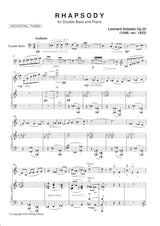 Salzedo: Rhapsody, Op. 20