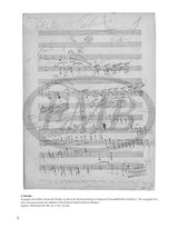 Liszt: Transcendental Études