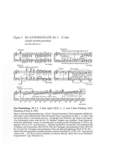 Brahms: Thematisch-Bibliographisches Werkverzeichnis (Thematic Bibliography)