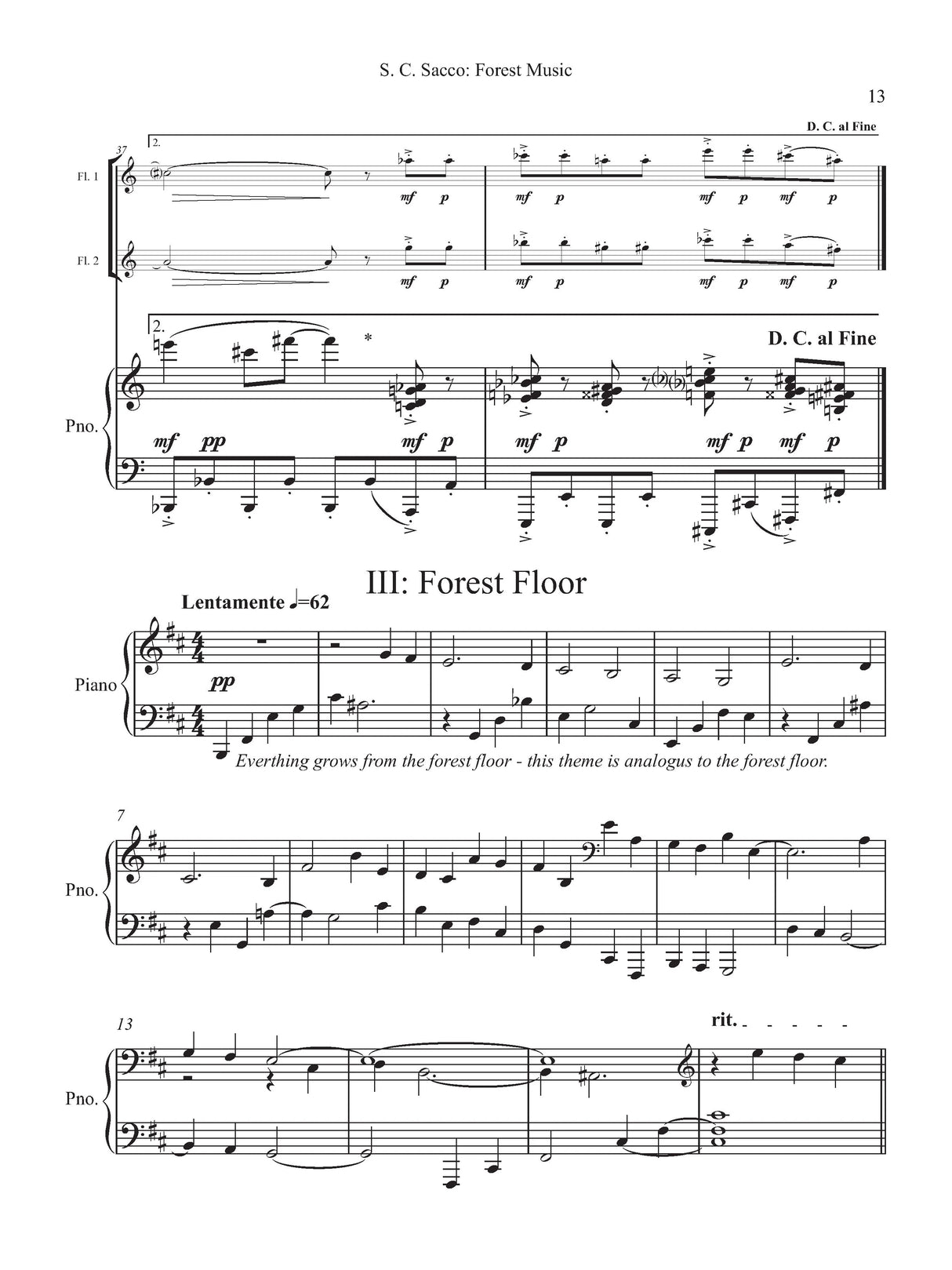 Sacco: Forest Music