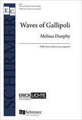 Dunphy: Waves of Gallipoli