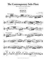The Contemporary Solo Flute
