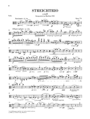 Reger: String Trios, Op. 77b and Op. 141b