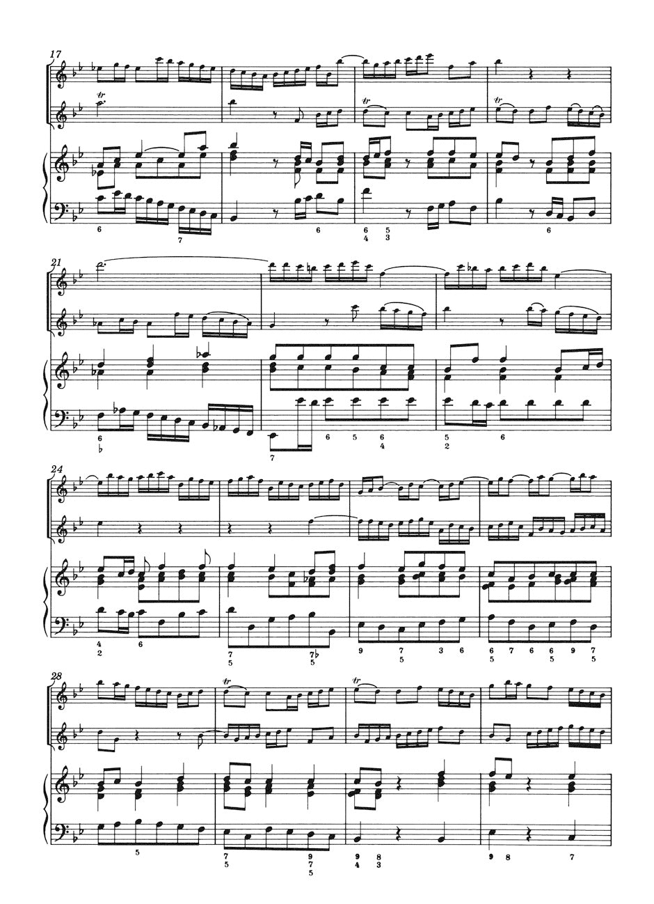 Bach: Trio Sonata according to BWV 1039 (arr. for 2 treble recorders & basso)