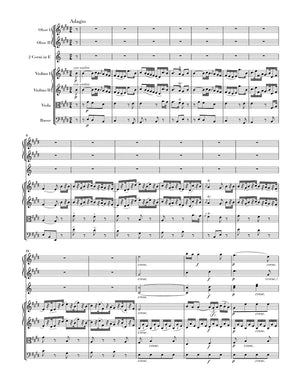 Haydn: Symphony in E Minor, Hob. I:44