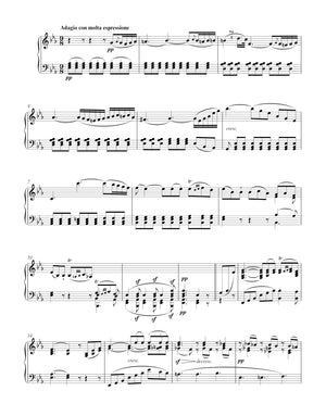 Beethoven: Piano Sonata No. 11 in B-flat Major, Op. 22
