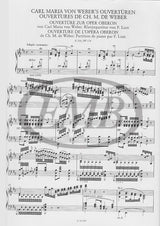 Liszt: Piano Transcriptions VIII