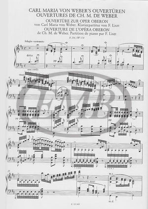 Liszt: Piano Transcriptions VIII