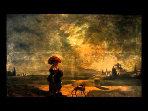 Fétis: Flute Concerto in B Minor