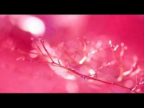 Albinoni: Concerto a cinque, Op. 10, No. 1