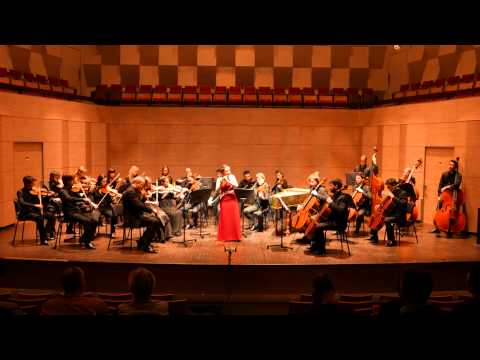 Vivaldi: Flautino Concerto, RV 443, Op. 44, No. 11