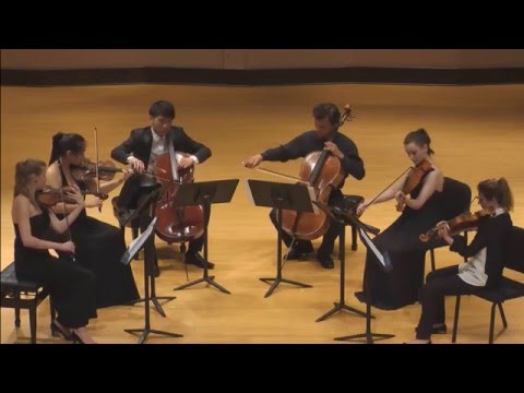 Ran: Lyre of Orpheus