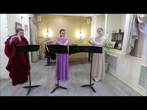 Magalif: Finches