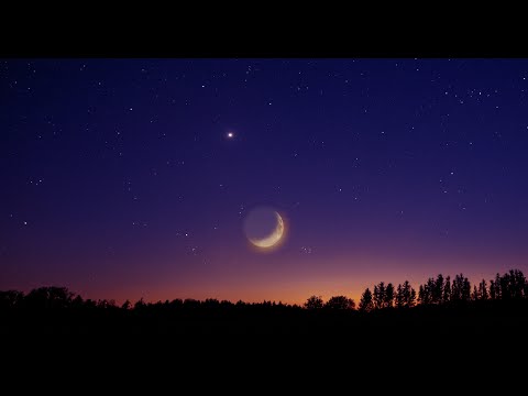 Luengen: Night