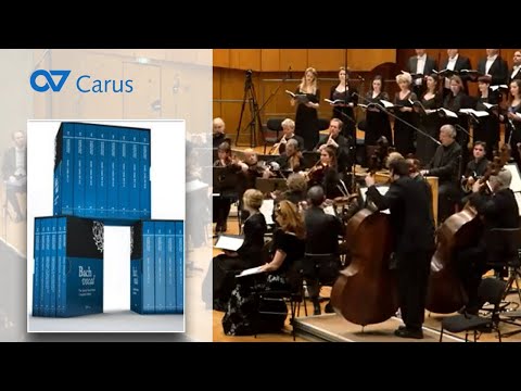 Bach: The Complete Sacred Vocal Music