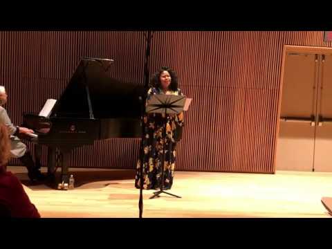 Nombeko: Nobody Knows