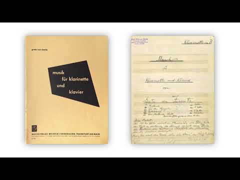 Mertz: Concert Works
