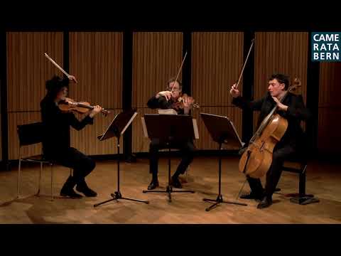 Hefti: Magma