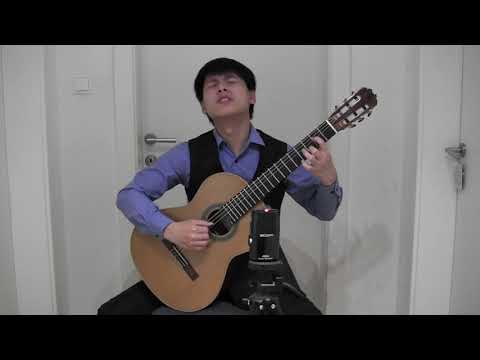 Brouwer: La Gran Sarabanda