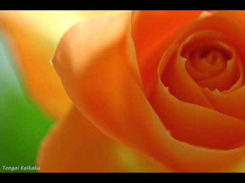 Vivaldi: Oboe Concerto in C Major, RV 451