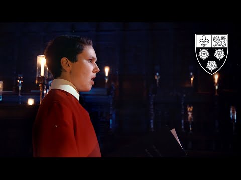 Wallen: Peace on Earth