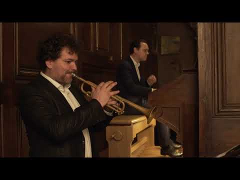 Robin: Parchemins de cendre