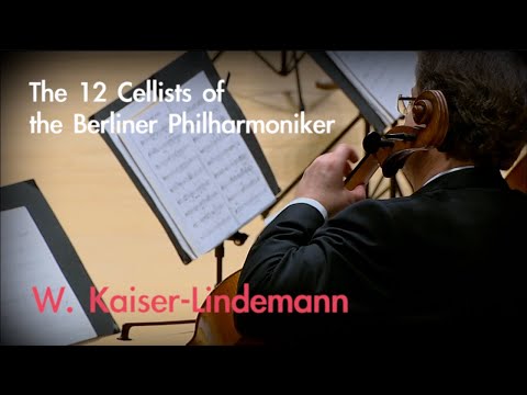 Kaiser-Lindemann: Variações brasileiras