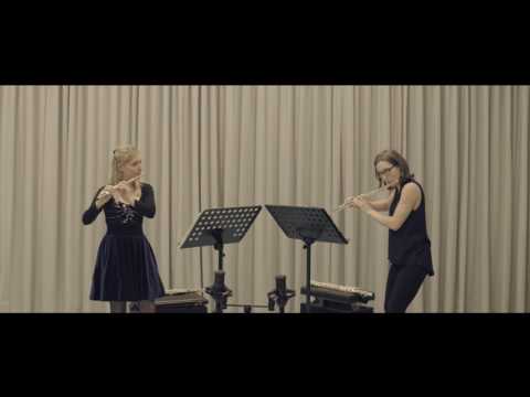 Saint-Saëns: The Carnival of the Animals (arr. for 2 flutes)