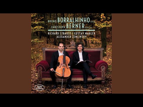 Mahler: Songs of a Wayfarer (arr. for cello and piano)