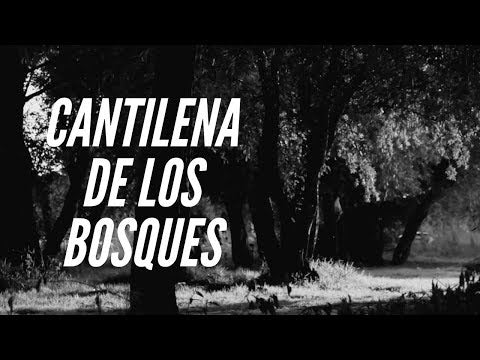 Brouwer: Cantilena de los bosques