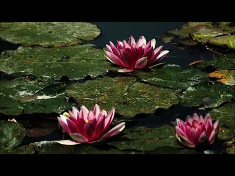 Mélodie: Songs by Fauré, Chausson, Hahn and Huë (arr. for 2 flutes & piano)