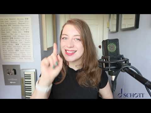 The Wellerman (Version for soprano/tenor recorder)