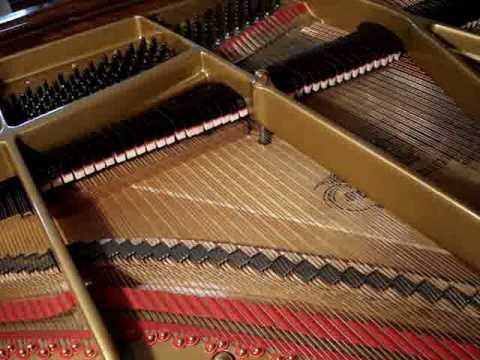 Scott: Lotus Land, Op. 47, No. 1