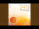 Sheffer: Y'did Nefesh