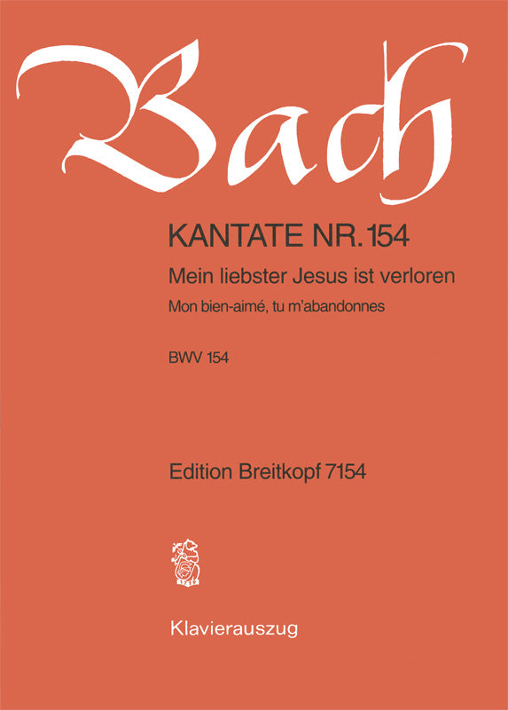 Mein liebster Jesus ist verloren