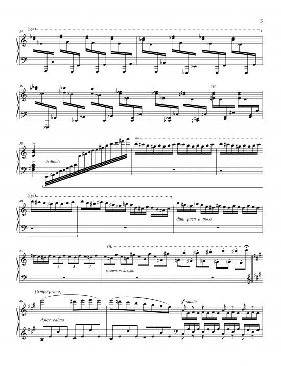 Hamelin: Cadenzas for the Beethoven Piano Concerti (Nos. 1-4)