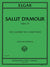 Elgar: Salut d'amour, Op. 12 (arr. for clarinet in A & piano)