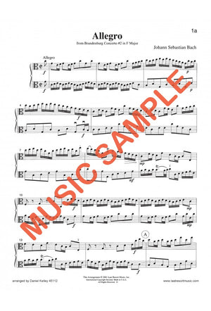 Music for Two Violas - Volume 2