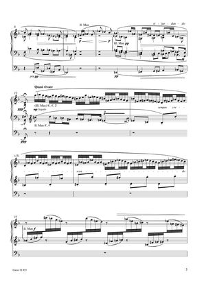Reger: Fantasia and Fugue D Minor, Op. 135b