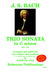 Bach: Sonata in G Minor, BWV 1029 (arr. for 2 violins & continuo)