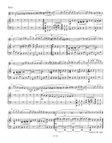 Schubert: Violin Sonata in A Major, Op. posth. 162, D 574