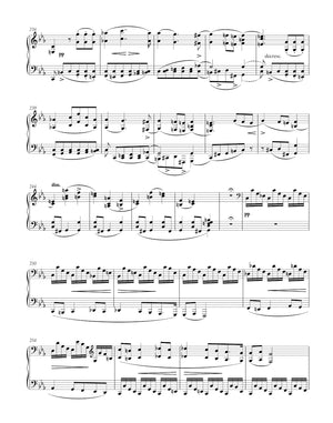 Schubert: Piano Sonata in C Minor, D 958