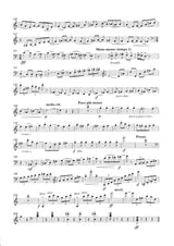 Salzedo: Rhapsody, Op. 20