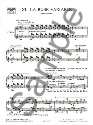 Messiaen: Catalogue d'oiseaux - Volume 7