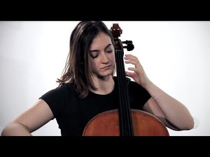D'Addario Kaplan Cello String Set 4/4